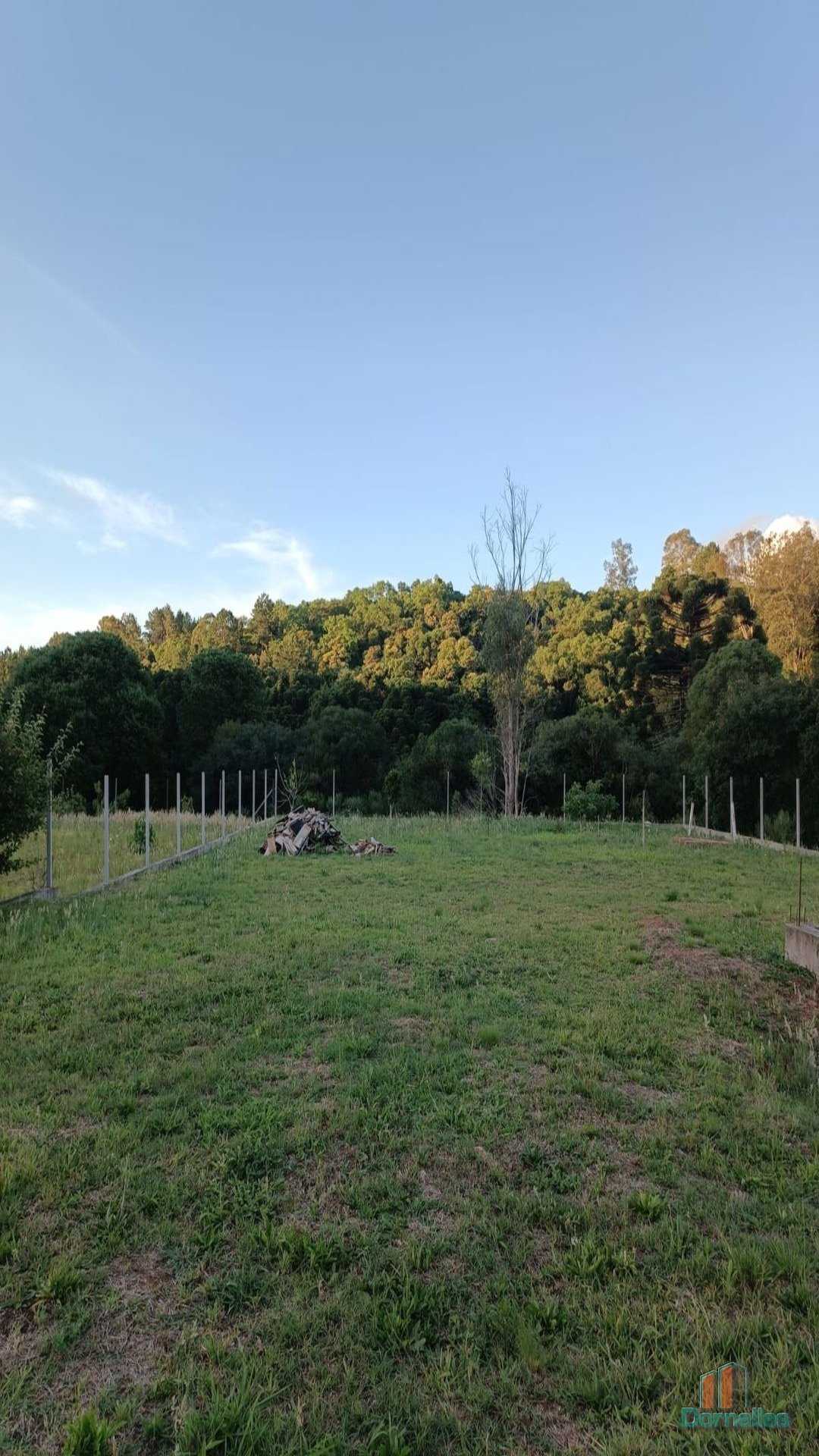 Imagem n° 3 do imóvel 14542