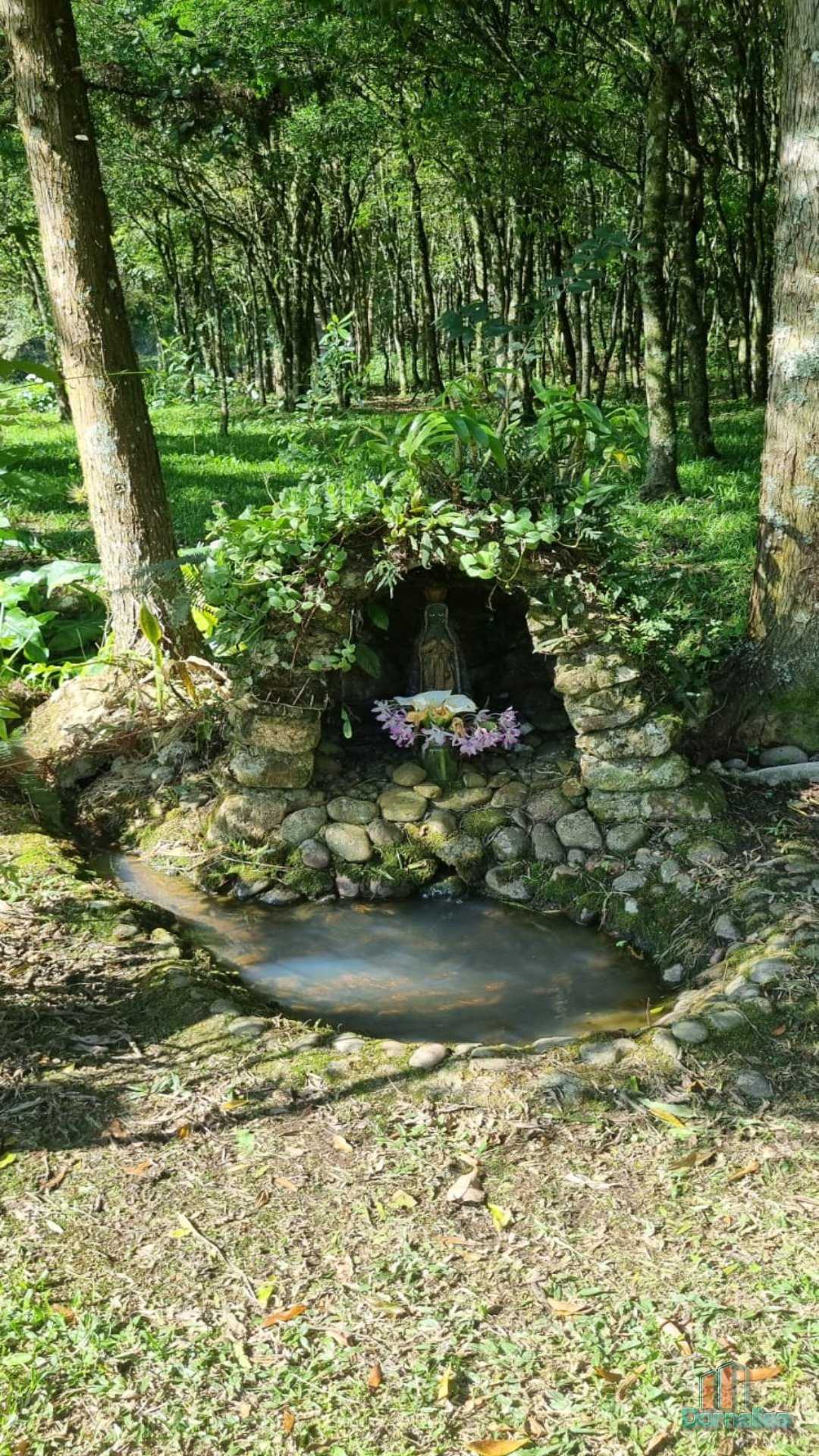 Imagem n° 5 do imóvel 14631