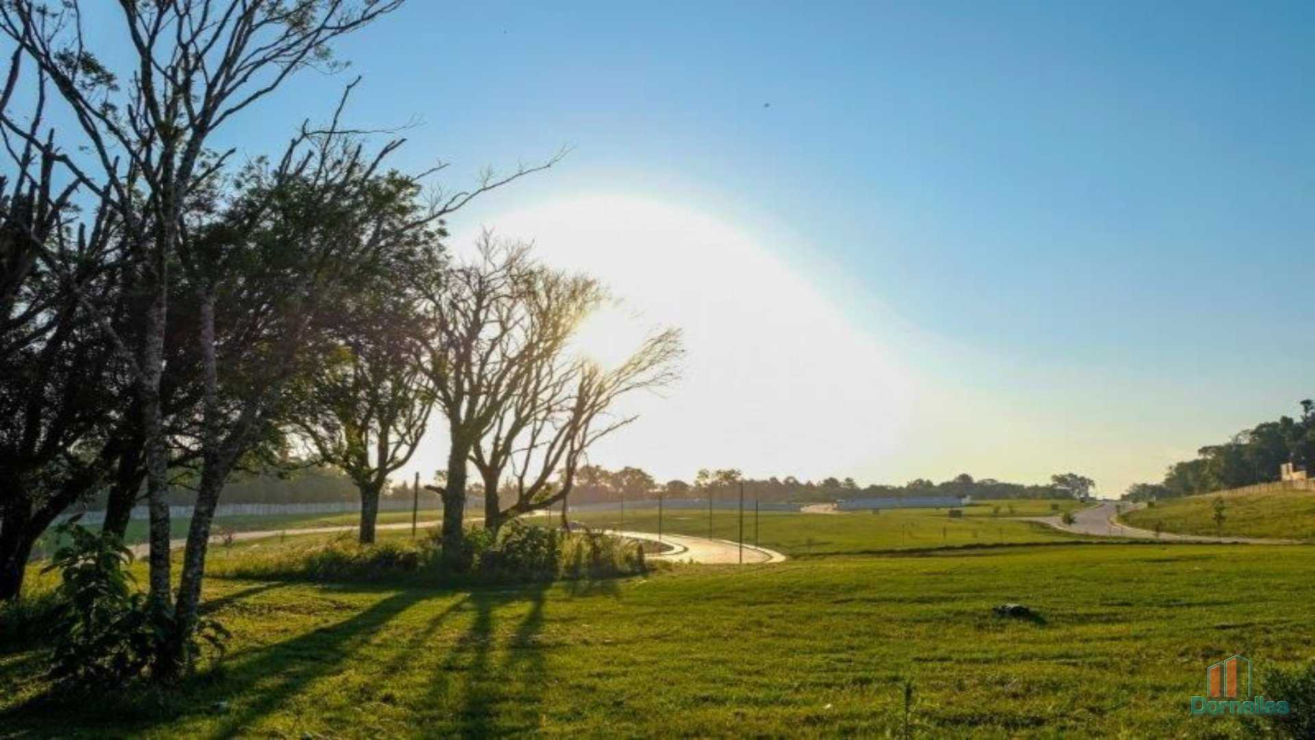 Imagem n° 5 do imóvel 14644