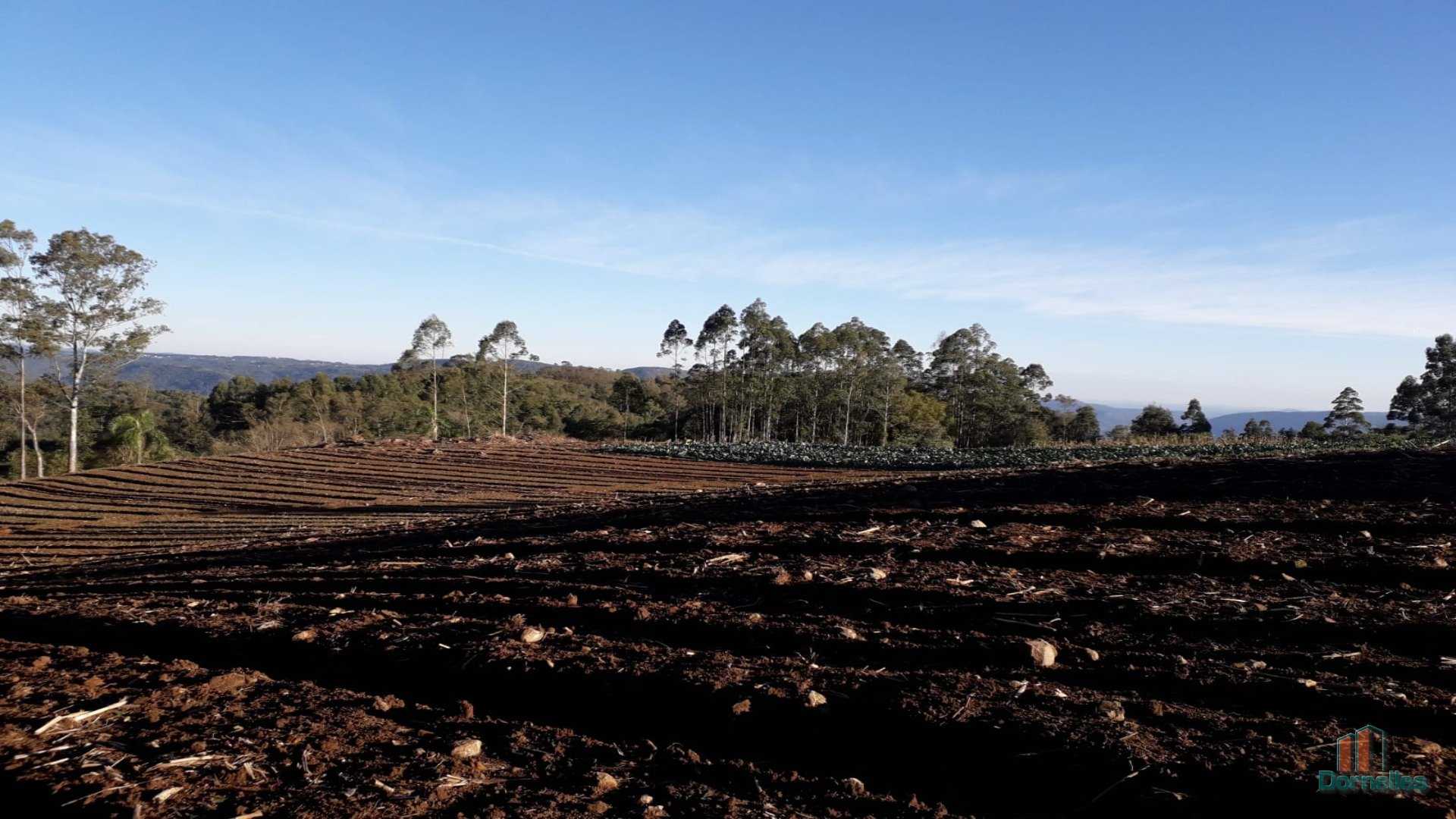 Imagem n° 1 do imóvel 14653