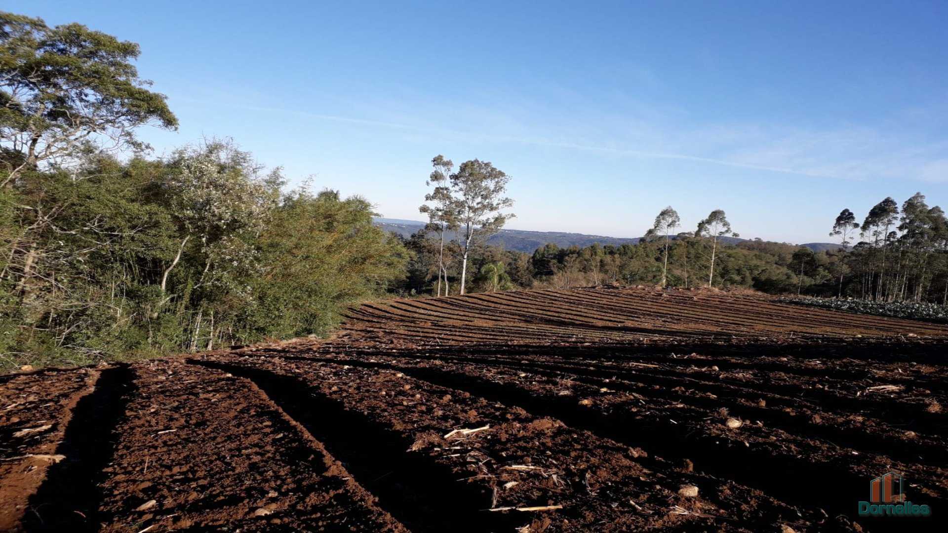 Imagem n° 2 do imóvel 14653