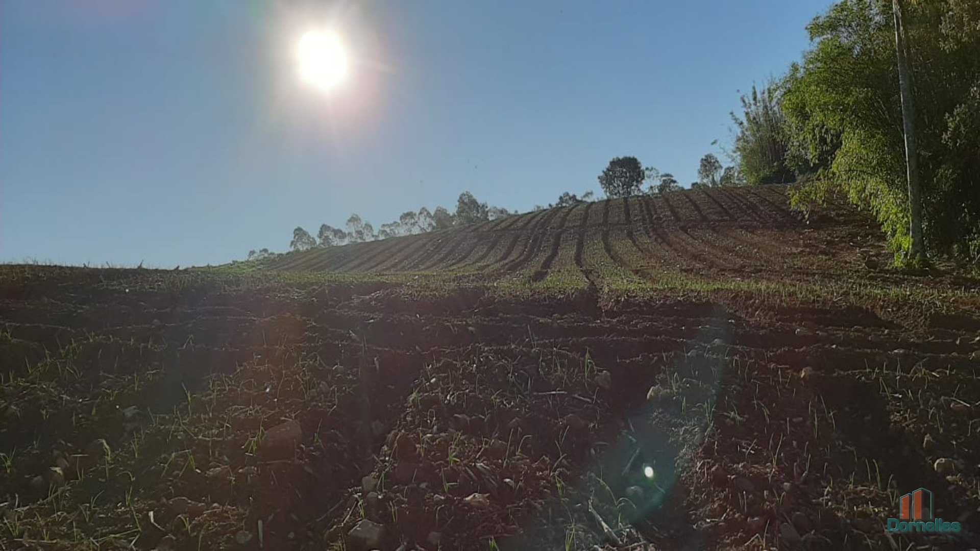 Imagem n° 8 do imóvel 14653