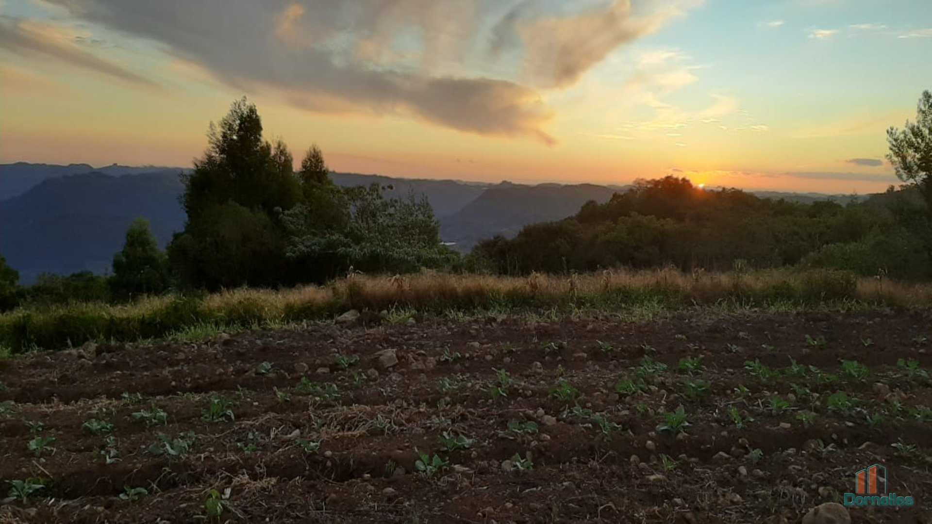 Imagem n° 11 do imóvel 14653