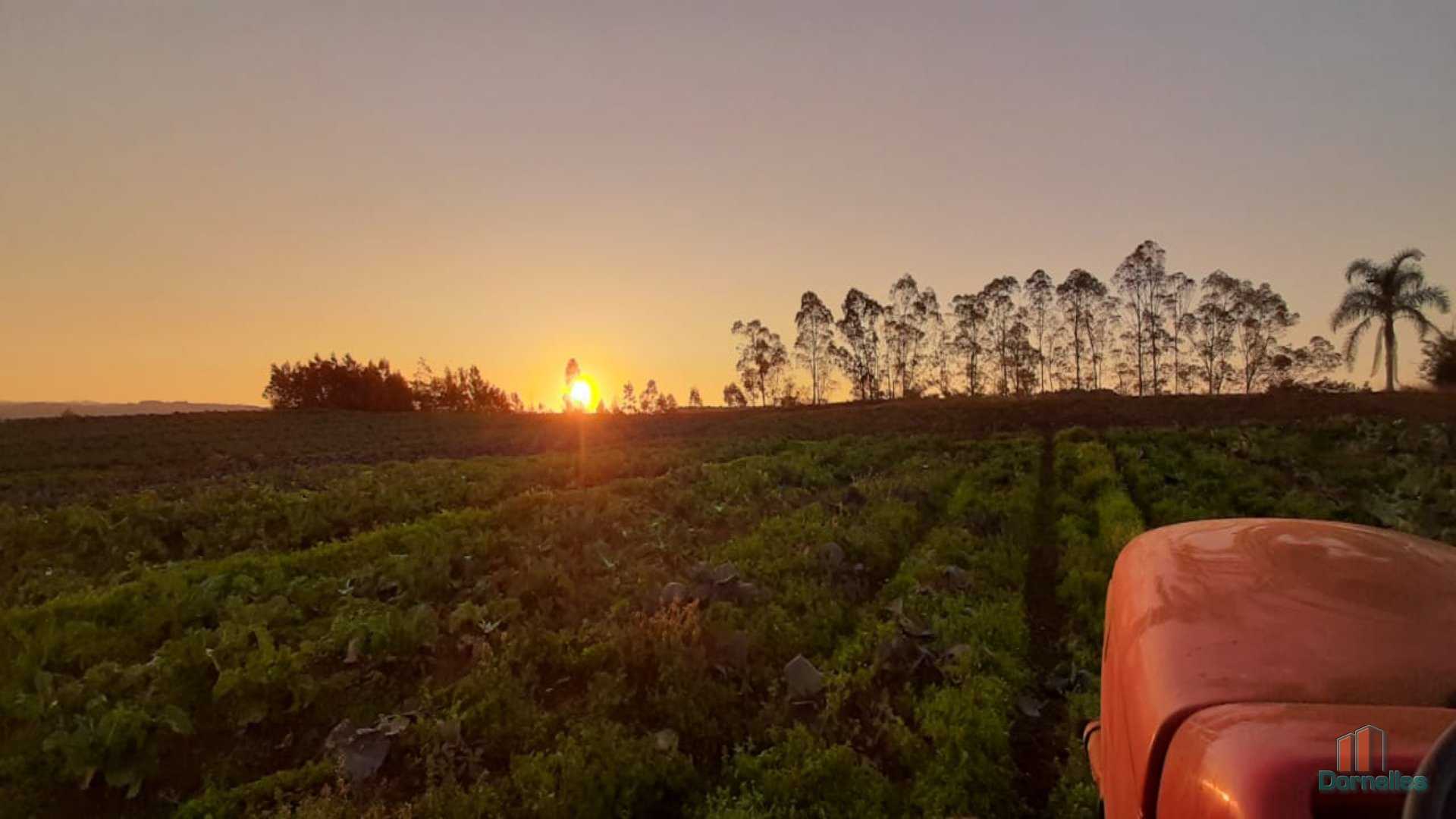 Imagem n° 18 do imóvel 14653