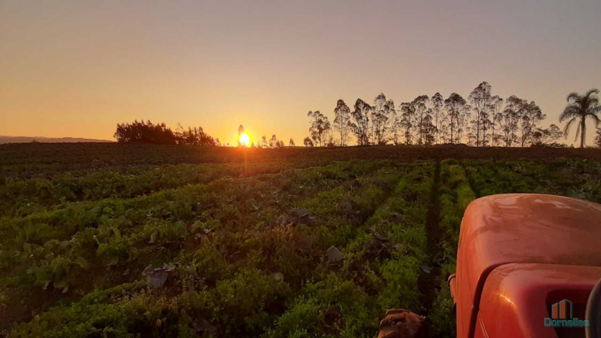 Imagem n° 21 do imóvel 14653