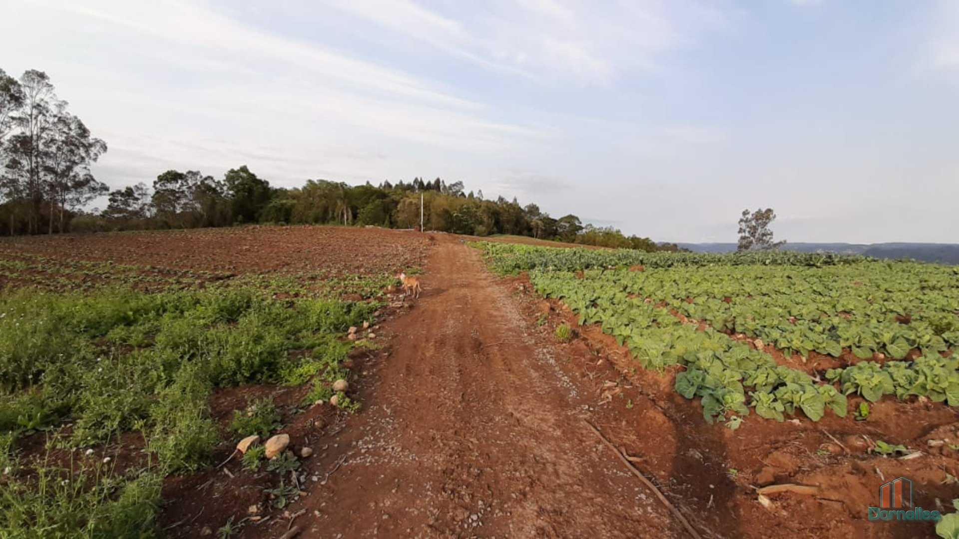 Imagem n° 26 do imóvel 14653