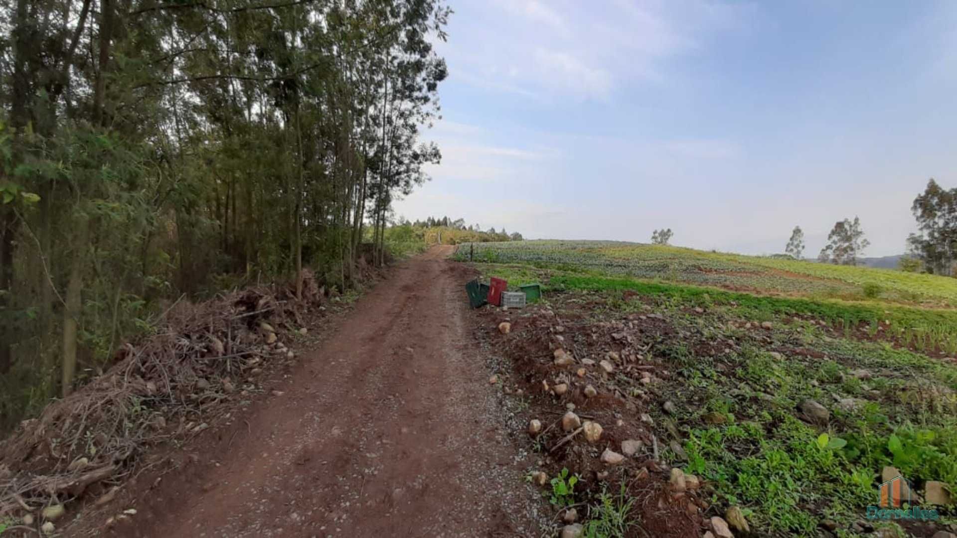 Imagem n° 27 do imóvel 14653