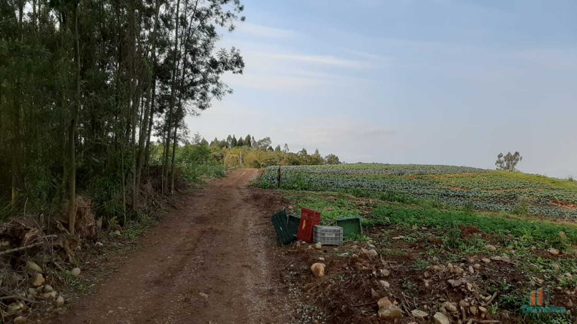 Imagem n° 30 do imóvel 14653