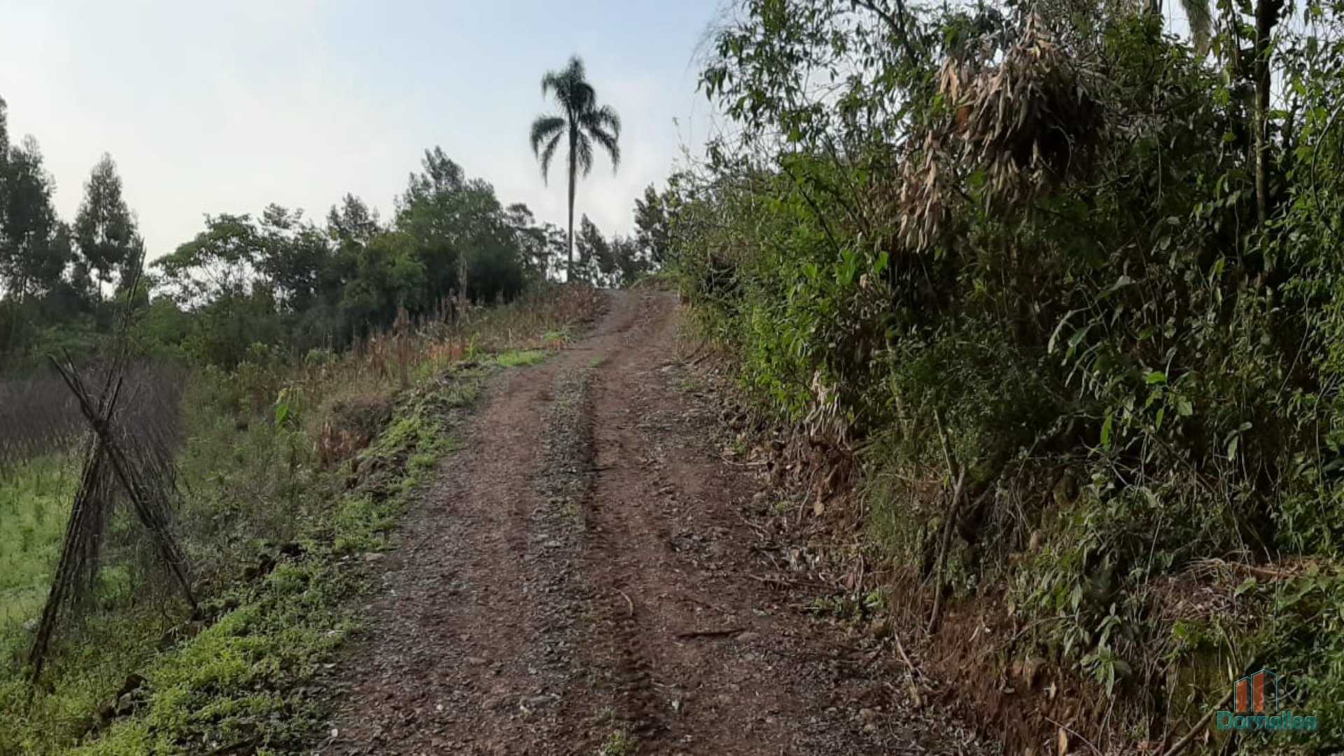 Imagem n° 34 do imóvel 14653