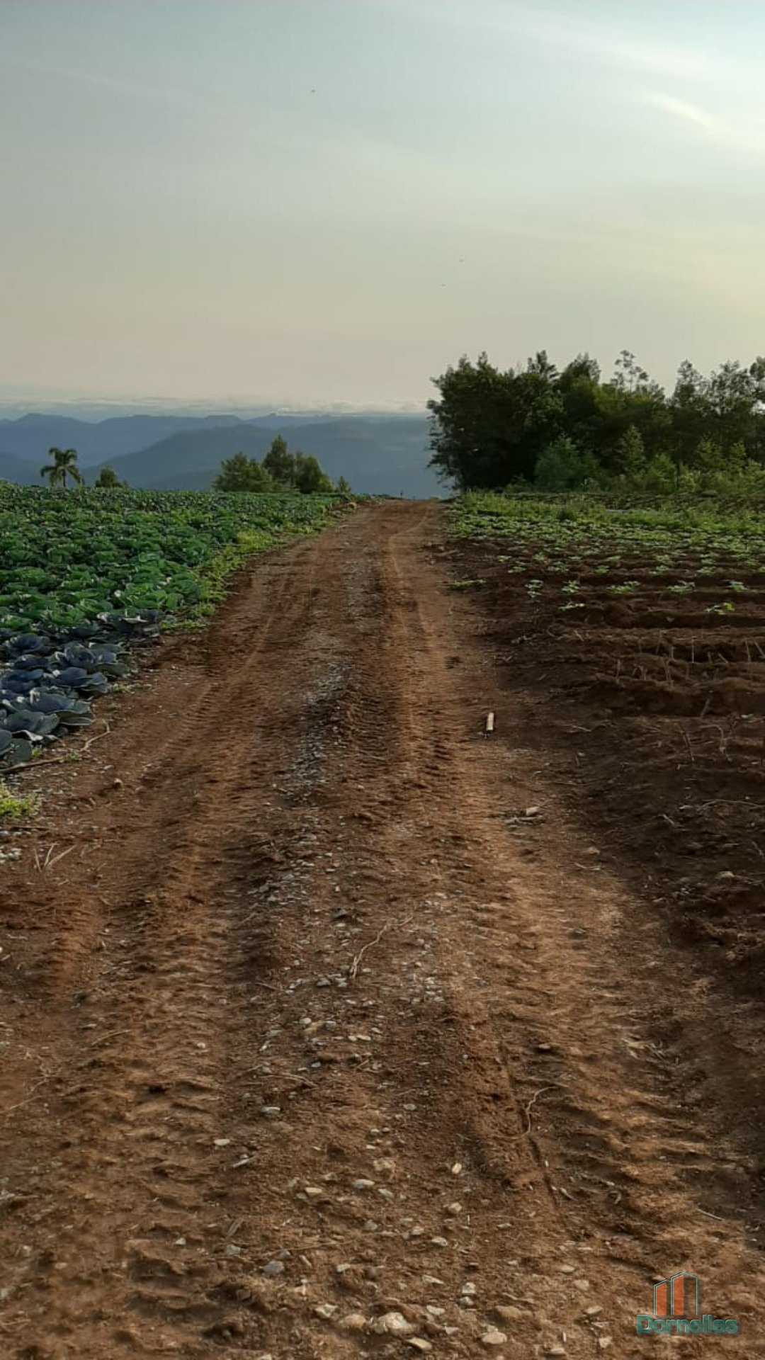 Imagem n° 35 do imóvel 14653